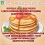 Сегодня по Масленичному календарю - «Золовкины посиделки»