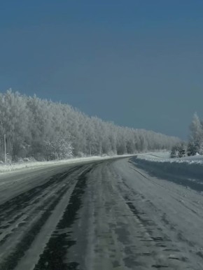 Вместо вечерней медитации. Пичаевский округ