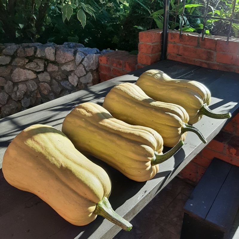 ��������� �����������: ����, ���� � �����