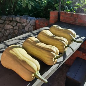 ��������� �����������: ����, ���� � �����