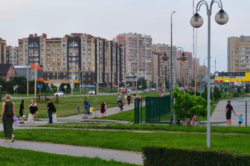 Администрация Тамбова: на севере города невозможно сформировать зелёный пояс