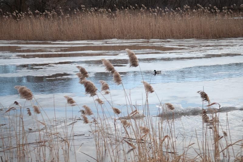 В Тамбове на выходных будет гололедица и небольшой мороз