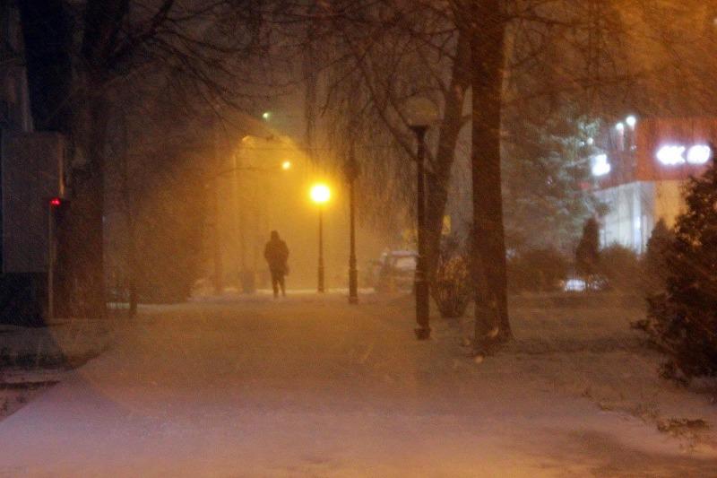 Главы округов региона рассказали, как справились с последствиями низовой метели