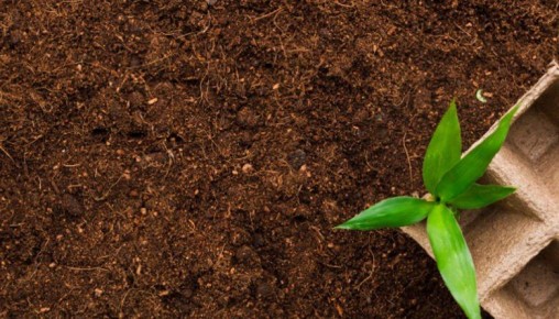 ����������� ���������������� ���������, ��� ������� ���������� ����� ��� �������