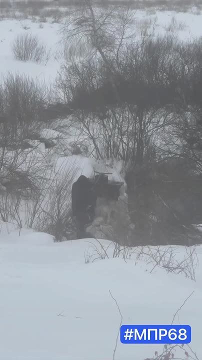 ����������: ��� ������� ������ � ���������� ������� � ����������� �������