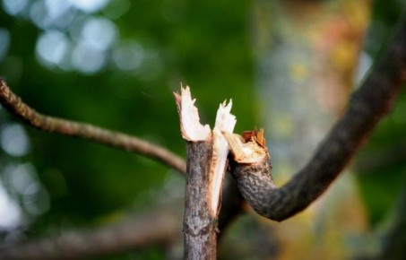 ��� ������ ������ ����� ������ �����: ������� ������