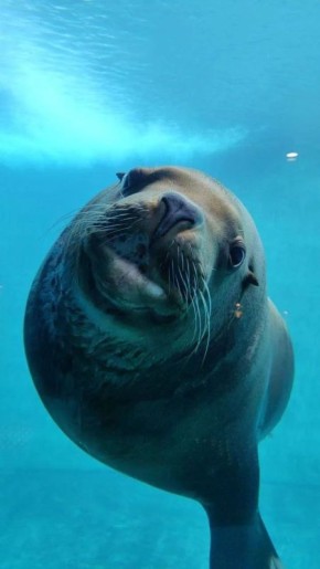 ���������� ���� �� ����������� �������� �������� ���� ������