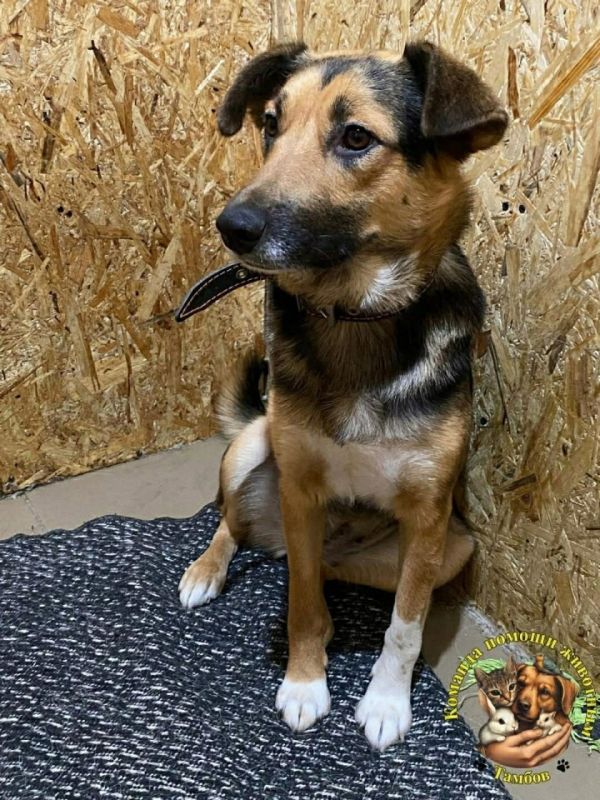 ���� �����: ������ ���� ���