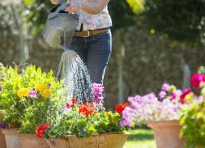 Как начать свой путь в садоводстве: полезные советы для новичков