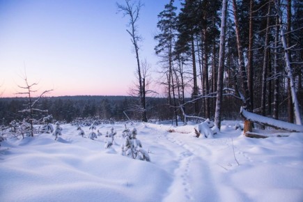 Хорошего вечера. ВК "Природа Тамбова /Охота на фото"