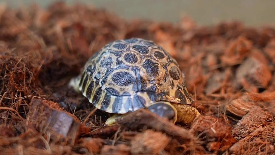 � ���������� �������� �������� 3 �������� �������� ��������