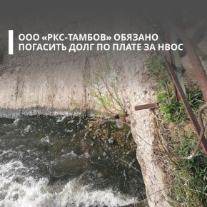Арбитражный суд Тамбовской области поддержал требования Центрально-Черноземного межрегионального управления Росприроднадзора к ООО «РКС-Тамбов» о взыскании задолженности по плате за негативное воздействие на окружающую среду
