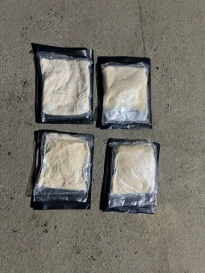 В Тамбовской области задержали наркокурьера из Санкт-Петербурга с 4,6 кг наркотиков