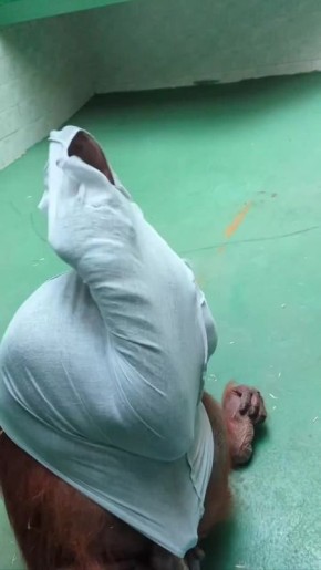 ��������� ���� �� ����������� �������� ����� ����� ��������� ������