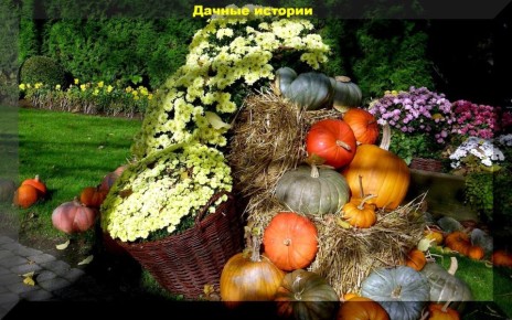 Советы по уходу за виноградом и смородиной