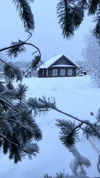 Вместо вечерней медитации