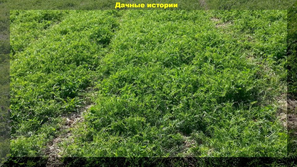 ��� �������� ������� ��������� ������������ � �������� ����� ��� ��������