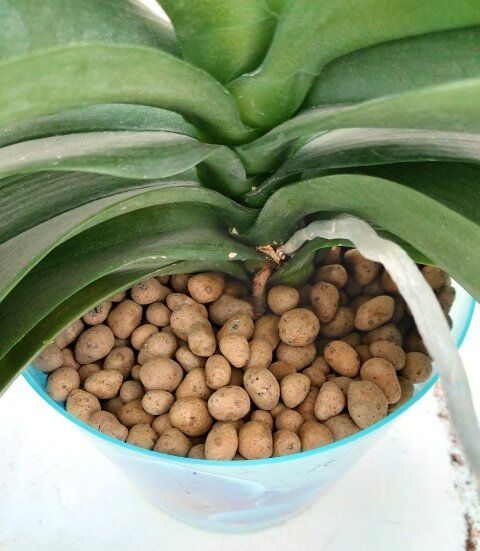 ��������� �������: �� ���� � ��������� � ���������