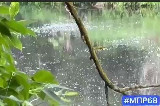 «РКС-Тамбов» выплатит около 1,5 млн рублей за негативное влияние на окружающую среду