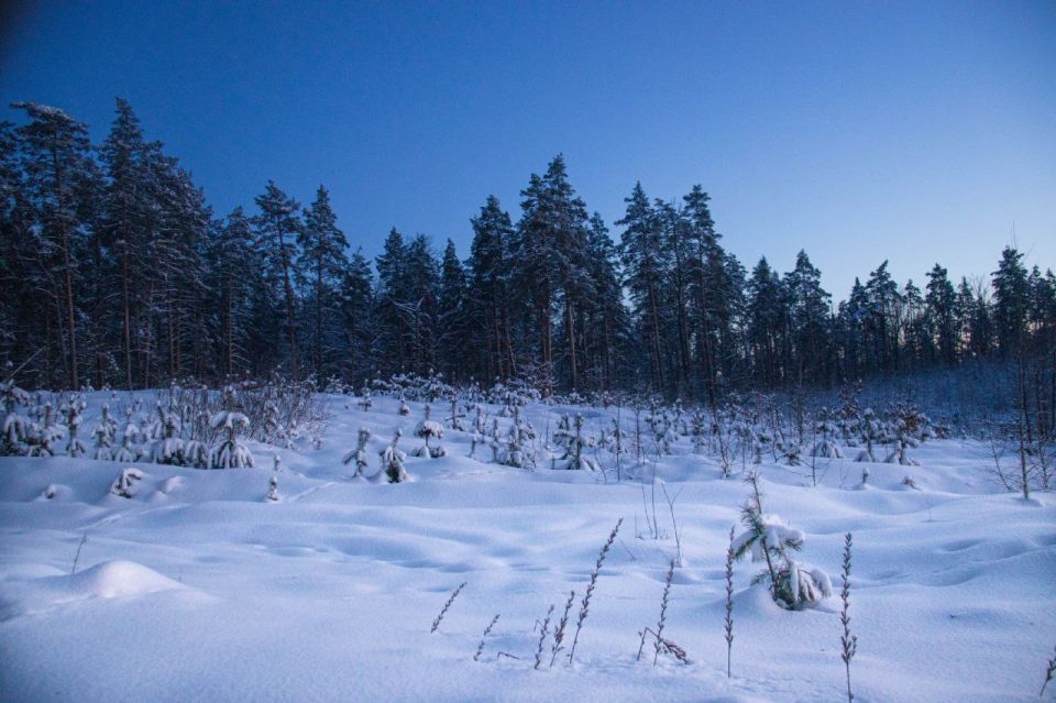 ������ ����� � ���������� �������