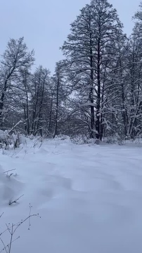 ���� ��� ����