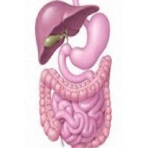 ��� ���������� ����������� � ��������� ��������� ��������