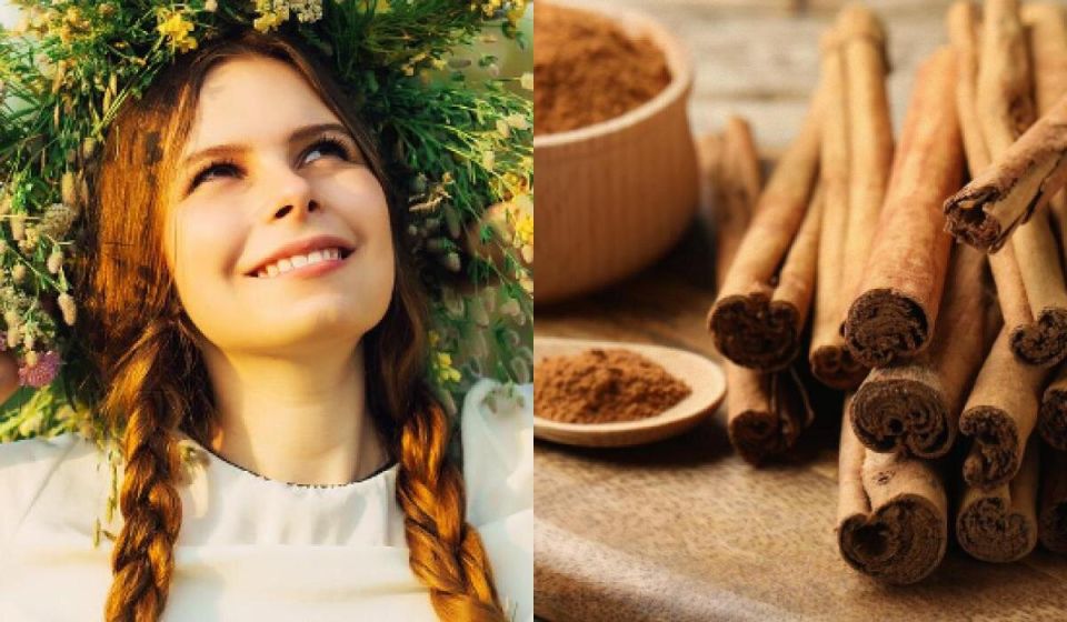 ������: ������ �������� ��������, ������� ����� ��������