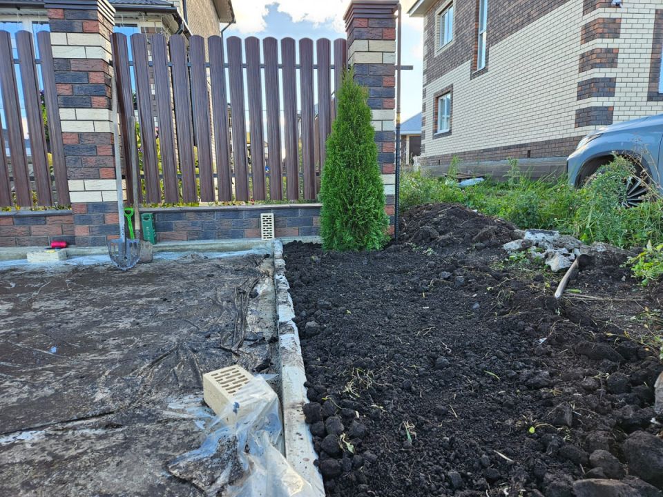 Когда весна наступает в горшках: авантюра с тюльпанами