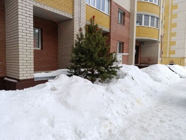 Минэкологии региона публикует характеристики снежного покрова в Тамбовской области