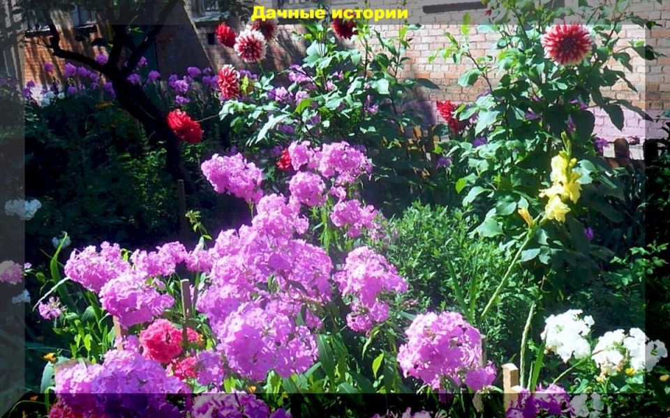 ��� ����������� ������� � �������: ������� ������ � ������� ������