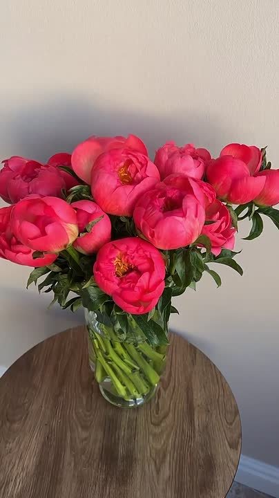 Вместо вечерней медитации