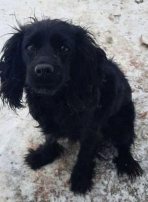 ���� �����: ������ ���� ���