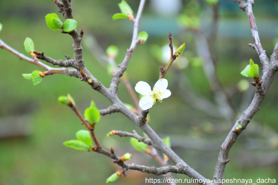 ��� ��������� ������������� ����� ������ ��� �������� ������