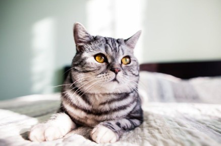 1 ����� - ���� ����� � ������