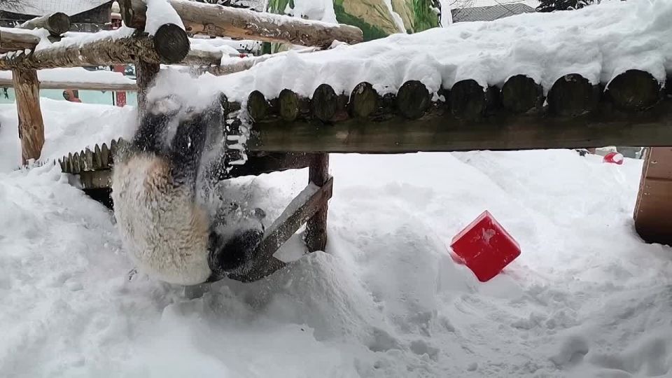 �������� ������ �� ���� ����� ����������� �����