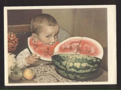 ���� � ����������: ������ ������ ���� ���������� �� �����������