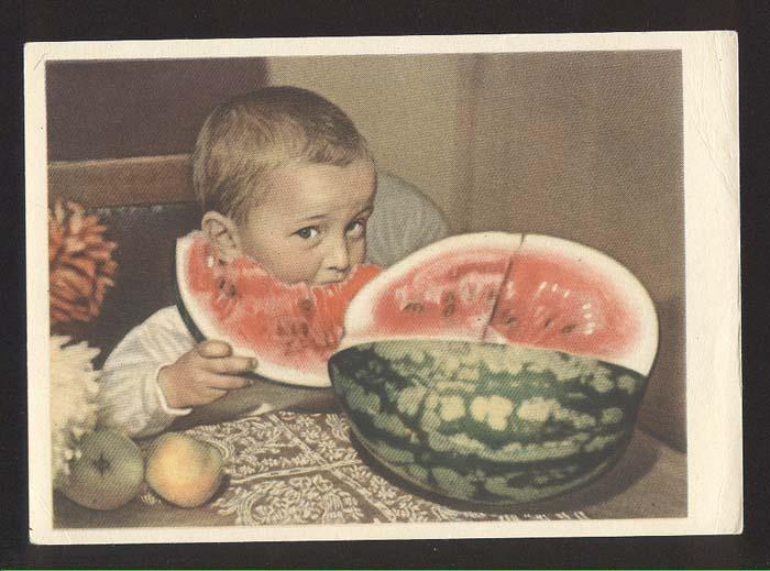 Мифы и реальность: Почему арбузы СССР отличаются от современных