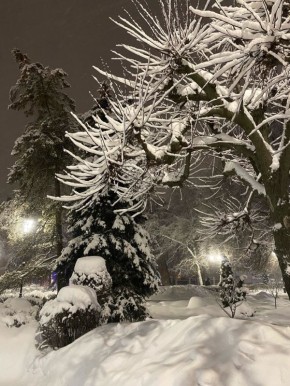 �������� ������. ������� �������