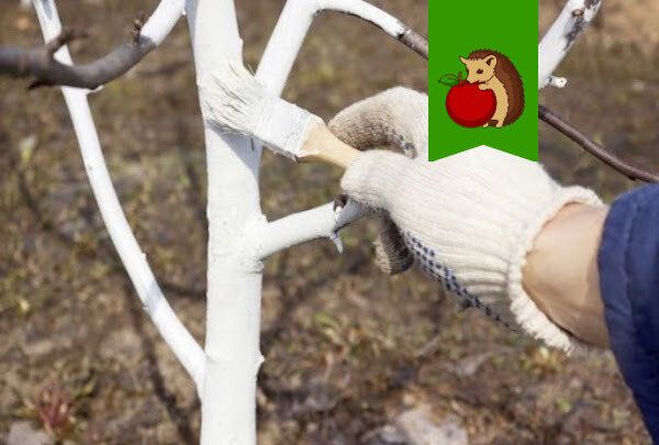 ��� ��������� ��������� �� �������� ���������: ������� �������� � �� ��������