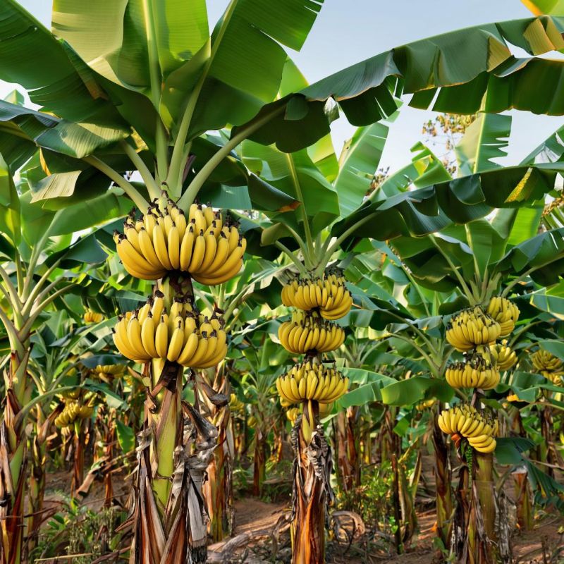 �������� �� ���: 10 �������, ������� ����� �����������