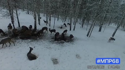 ���� � ����� ������ ����������� ������