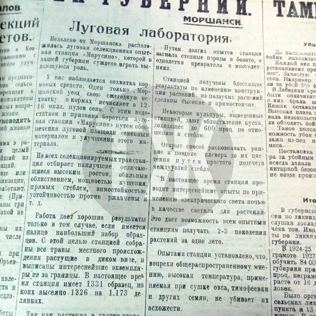 О селекционной опытной станции «Марусино», помощи освобожденным из трудового дома и широких полномочиях заведующего магазином «Тамбовская правда» писала сто лет назад О селекционной опытной станции «Марусино», помощи освобожденным из трудового дома и широких полномочиях заведующего магазином «Тамбовская правда» писала сто лет назад