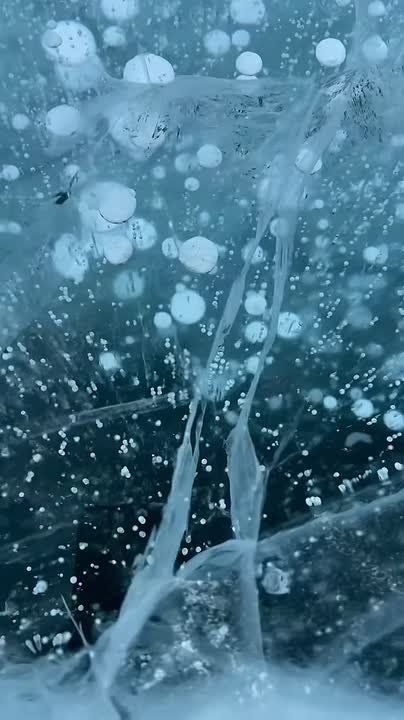 ������ �������� ���������. ������