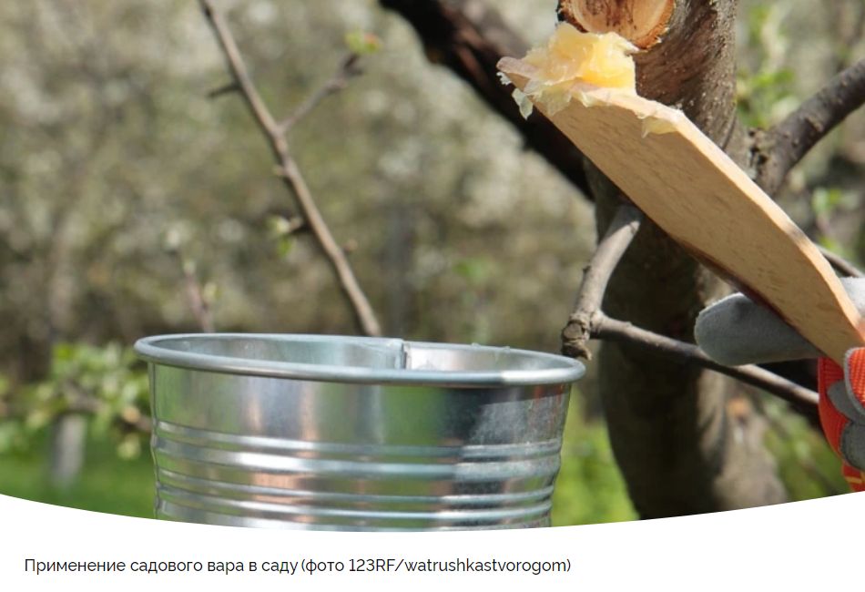 ������ ������� �������� ���� ��� ������ ��������