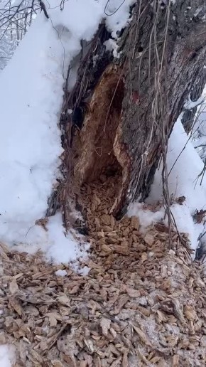 ��� �������� �����, ������� ������ ����� ���, �������������, ����� ������� ����� �� ����� ����������