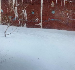 ���� � ���������� ������� ��������� 68 �� � ������ ���� ���� �������