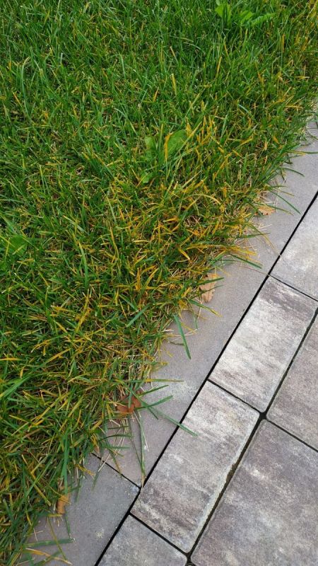 ������ � ������: ������� � �� ��������������