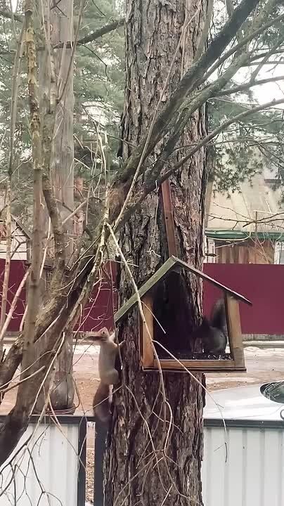 ����� ������ �� ��������� � ���������� ������