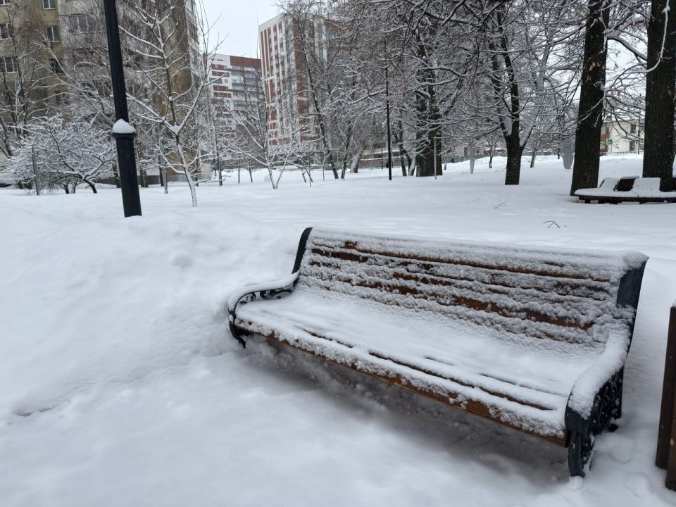 ����������� ������� ��������� �������������� �������� ������� � ���������� �������