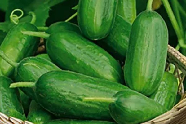 ������ ����� �������� �������� �� ������ ����� �� ������?